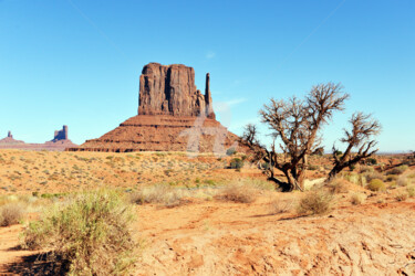 MONUMENT VALLEY AND Co